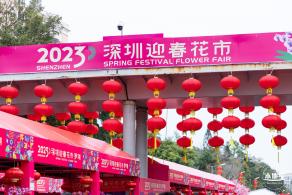深圳迎春花市