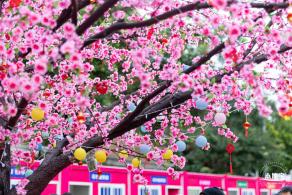 深圳迎春花市