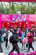 深圳迎春花市
