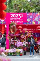 深圳迎春花市