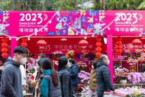 深圳迎春花市