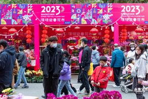 深圳迎春花市
