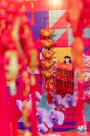 深圳迎春花市