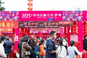 深圳迎春花市