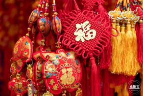 深圳迎春花市