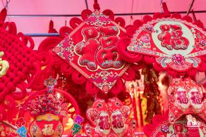 深圳迎春花市