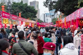 深圳迎春花市