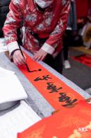 深圳迎春花市