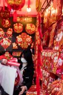 深圳迎春花市
