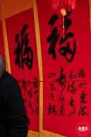 深圳迎春花市