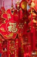深圳迎春花市