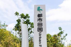 甘坑都市田园花海