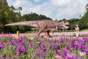 甘坑都市田园花海