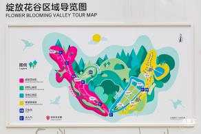 甘坑都市田园花海