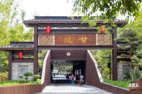 甘坑都市田园花海