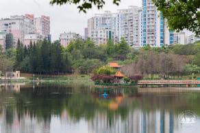 龙潭公园月季