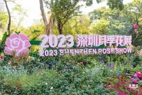 2023深圳月季花展