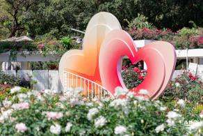 2023深圳月季花展