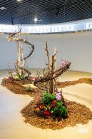 2023深圳月季花展