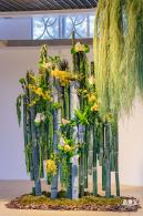 2023深圳月季花展
