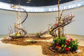 2023深圳月季花展