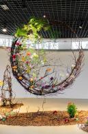 2023深圳月季花展