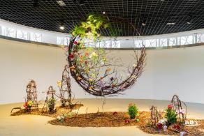 2023深圳月季花展