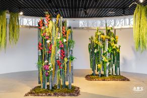 2023深圳月季花展
