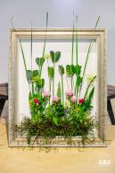 2023深圳月季花展
