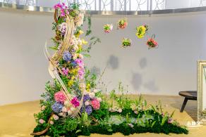 2023深圳月季花展