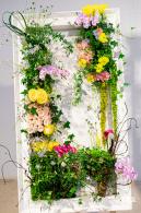 2023深圳月季花展