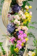 2023深圳月季花展