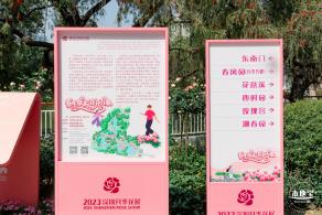 2023深圳月季花展