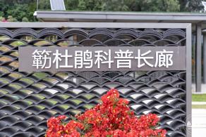 簕杜鹃专类园(毓秀园)