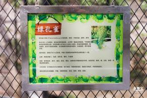 东湖趣味动物苑