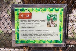 东湖趣味动物苑