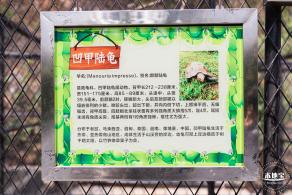 东湖趣味动物苑