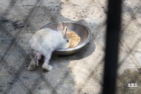 东湖趣味动物苑