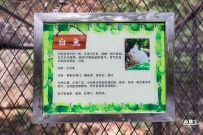东湖趣味动物苑