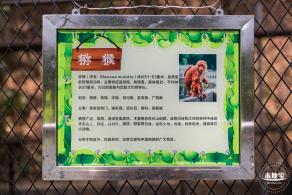 东湖趣味动物苑