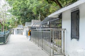东湖趣味动物苑