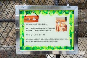 东湖趣味动物苑