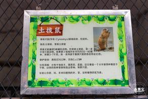 东湖趣味动物苑