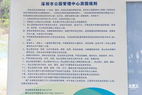 东湖公园禾雀花