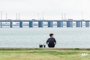 海边公园金鱼草