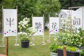 2023粤港澳大湾区花展