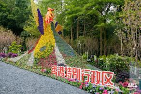 2023粤港澳大湾区花展