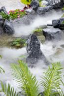 2023粤港澳大湾区花展