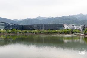 栖息图书馆