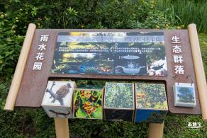 嶂背郊野公园